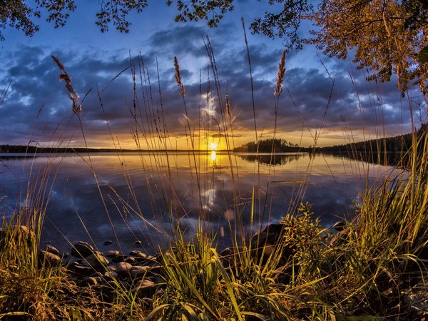 Finland, Karijarvi Lake, Kouvola, закат, камыш, Коувола, озеро, Озеро Кариярви, Финляндия