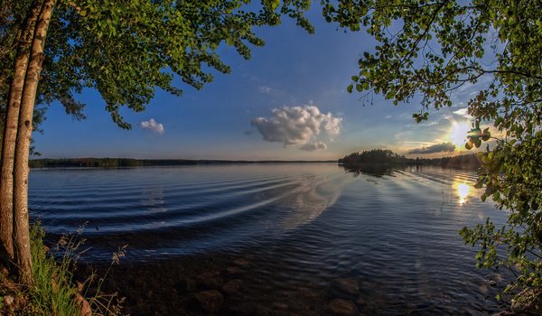 Обои на рабочий стол: Finland, Karijarvi Lake, Kouvola, волны, деревья, Коувола, озеро, Озеро Кариярви, рассвет, утро, Финляндия