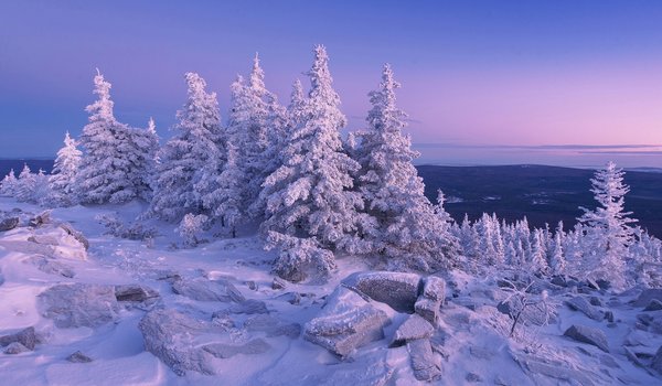 Обои на рабочий стол: деревья, ели, зима, камни, россия, снег, Урал, Хребет Уреньга