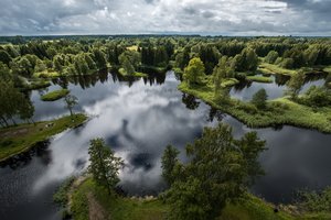 Обои на рабочий стол: Birzai, Kirkilai, Lithuania, Биржай, деревья, Киркилайские озёра, лес, Литва, озёра, панорама