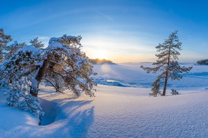 Обои на рабочий стол: Finland, Kotka-Hamina, деревья, зима, Котка-Хамина, рассвет, снег, сугробы, утро, Финляндия