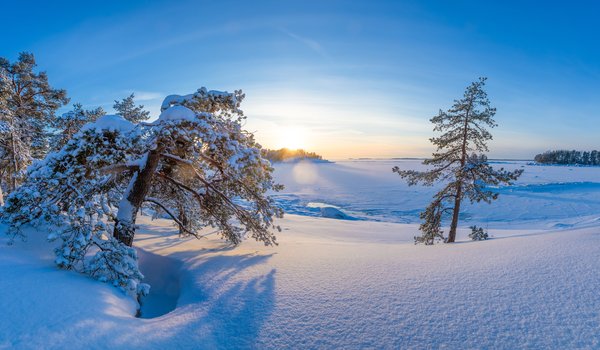 Обои на рабочий стол: Finland, Kotka-Hamina, деревья, зима, Котка-Хамина, рассвет, снег, сугробы, утро, Финляндия