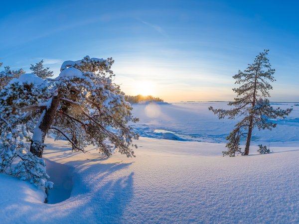 Finland, Kotka-Hamina, деревья, зима, Котка-Хамина, рассвет, снег, сугробы, утро, Финляндия