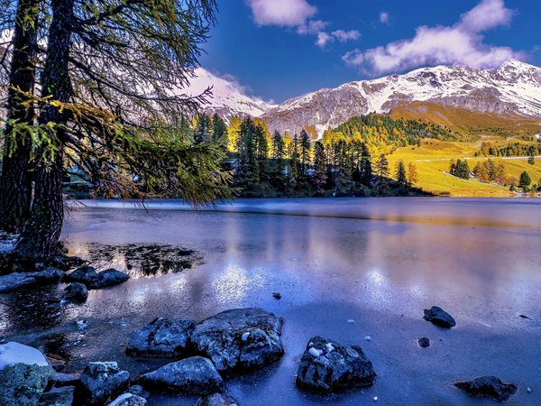 Albula Pass, alps, Lai da Palpuogna, Palpuognasee, switzerland, Альпы, горы, деревья, озеро, Озеро Пальпуогна, осень, Перевал Альбула, швейцария
