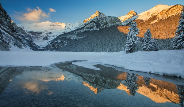 Обои на рабочий стол: Alberta, Banff National Park, canada, Canadian Rockies, Lake Louise, Альберта, горы, ели, зима, канада, Канадские Скалистые горы, лес, Национальный парк Банф, озеро, озеро Луиз, отражение, снег