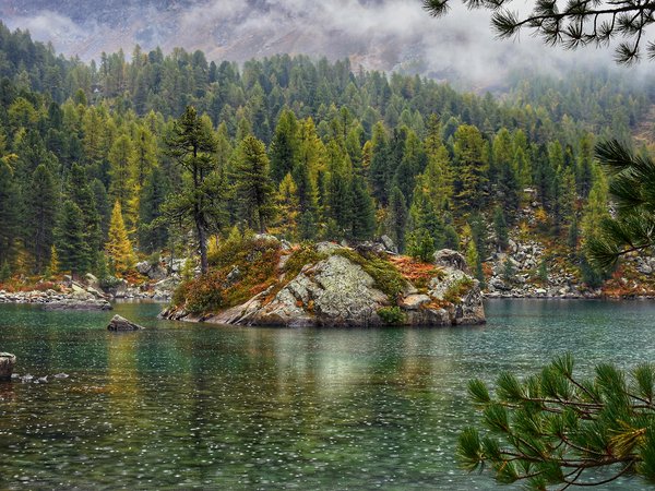 fog, forest, lake, mountains, river