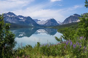 Обои на рабочий стол: Glacier National Park, Lake Sherburne, Montana, Rocky Mountains, горы, Монтана, Национальный парк Глейшер, озеро, Озеро Шерберн, отражение, Скалистые горы, трава, цветы