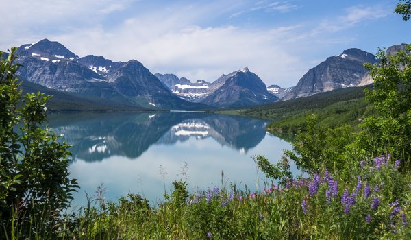 Обои на рабочий стол: Glacier National Park, Lake Sherburne, Montana, Rocky Mountains, горы, Монтана, Национальный парк Глейшер, озеро, Озеро Шерберн, отражение, Скалистые горы, трава, цветы