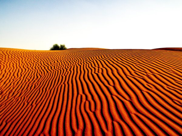 desert, landscape, sand