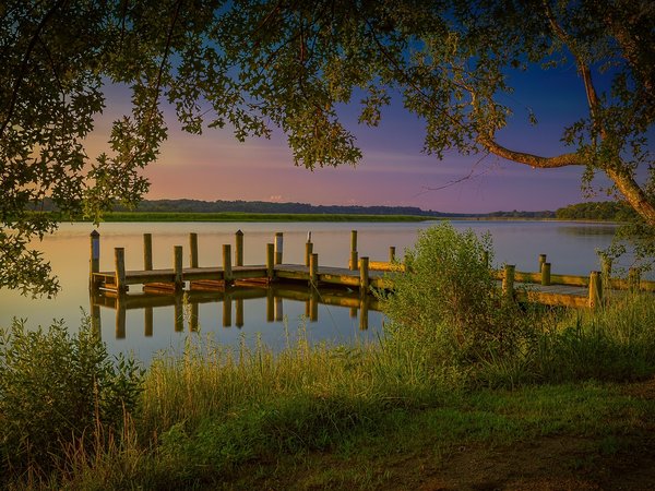 calm, clouds, evening, forest, grass, horizon, lake, landscape, nature, pier, plants, reflections in water, sky, sunset, trees, вечер, горизонт, деревья, закат, лес, небо, облака, озеро, отражения в воде, пейзаж, природа, причал, растения, трава, штиль