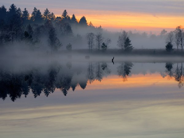 calm, clouds, fog, forest, lake, landscape, nature, reflections in water, sky, sunset, закат, лес, небо, облака, озеро, отражения в воде, пейзаж, природа, туман, штиль