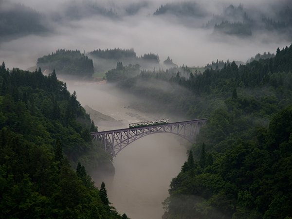 вагоны, деревья, дымка, лес, леса, мост, поезд, река, туман