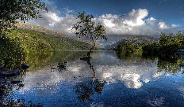 Обои на рабочий стол: Gwynedd, Llyn Padarn, Snowdonia, Wales, Гуинет, дерево, озеро, Озеро Падарн, отражение, Сноудония, Уэльс