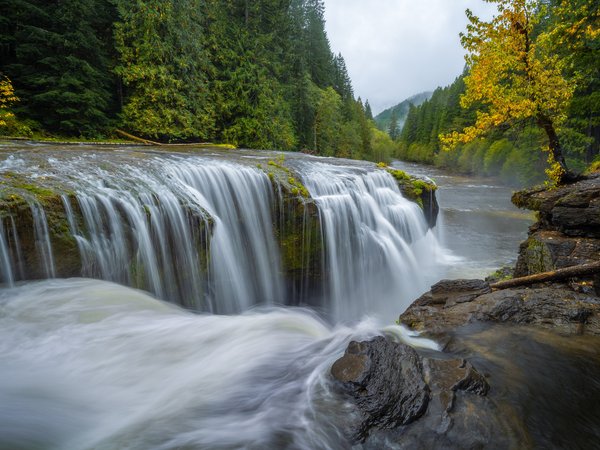 Gifford Pinchot National Forest, Lewis River, Lower Lewis River Falls, Washington State, водопад, каскад, лес, осень, река, Река Льюис, штат Вашингтон