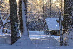 Обои на рабочий стол: Maine, New England, деревья, дом, зима, Мэн, Новая Англия, снег, сугробы