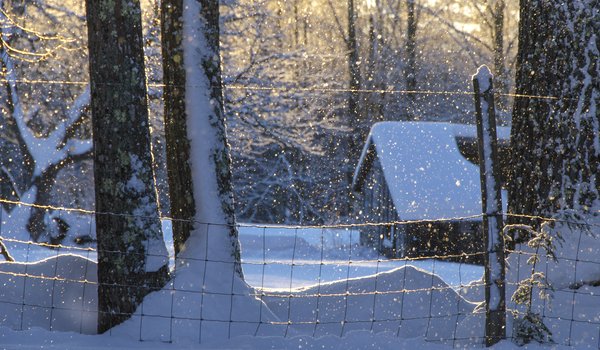 Обои на рабочий стол: Maine, New England, деревья, дом, зима, Мэн, Новая Англия, снег, сугробы