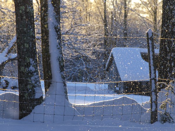 Maine, New England, деревья, дом, зима, Мэн, Новая Англия, снег, сугробы