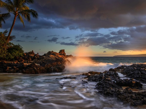 hawaii, Makena Cove, Maui, Pacific Ocean, гавайи, закат, Мауи, океан, пальмы, побережье, тихий океан
