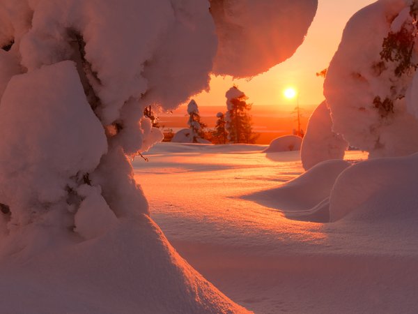 деревья, ели, зима, Максим Евдокимов, пейзаж, природа, рассвет, снег, солнце, утро, Финляндия