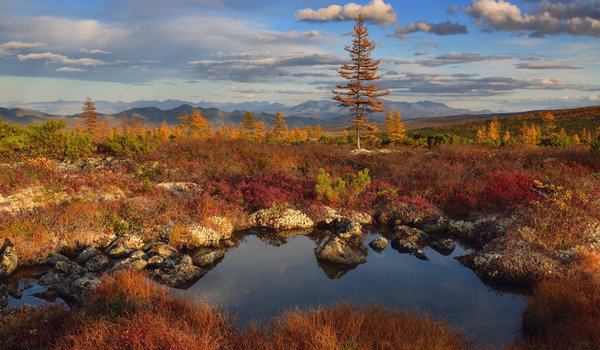 Обои на рабочий стол: водоем, горы, камни, Колыма, Максим Евдокимов, осень, пейзаж, природа, растительность