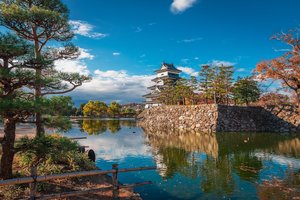 Обои на рабочий стол: japan, Matsumoto, Matsumoto Castle, вода, деревья, замок, Замок Мацумото, мацумото, ров, сосны, япония