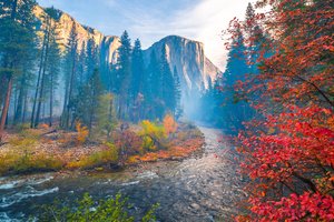 Обои на рабочий стол: california, el capitan, Merced River, Sierra Nevada, Yosemite National Park, Yosemite Valley, горы, деревья, Йосемитская долина, калифорния, Национальный парк Йосемити, осень, река, Река Мерсед, Сьерра-Невада, эль-капитан