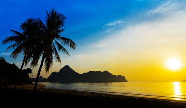 Обои на рабочий стол: beach, beautiful, palms, paradise, sea, seascape, summer, sunset, tropical, берег, закат, лето, море, пальмы, пляж, силуэт