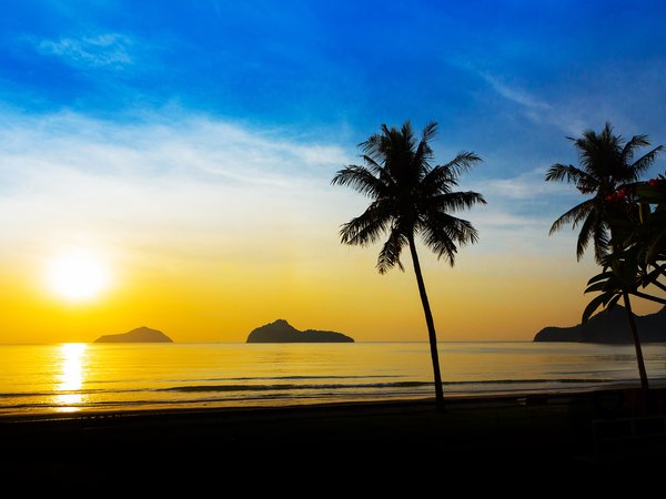 beach, beautiful, palms, paradise, sea, seascape, summer, sunset, tropical, берег, закат, лето, море, пальмы, пляж, силуэт