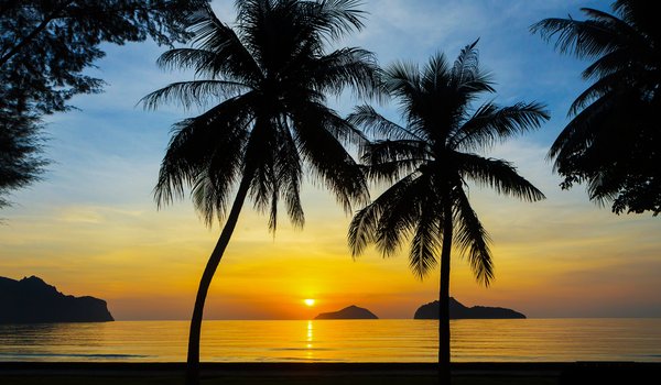 Обои на рабочий стол: beach, beautiful, palms, paradise, sea, seascape, summer, sunset, tropical, берег, закат, лето, море, пальмы, пляж, силуэт
