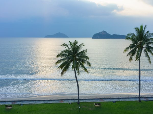 beach, beautiful, palms, paradise, sea, seascape, summer, sunset, tropical, берег, закат, лето, море, пальмы, пляж