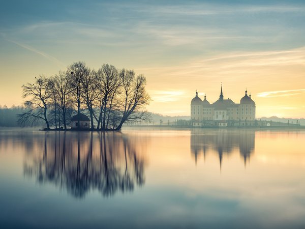 germany, Moritzburg Castle, Saxony, германия, деревья, замок, Замок Морицбург, островок, отражение, пруд, рассвет, Саксония, туман, утро