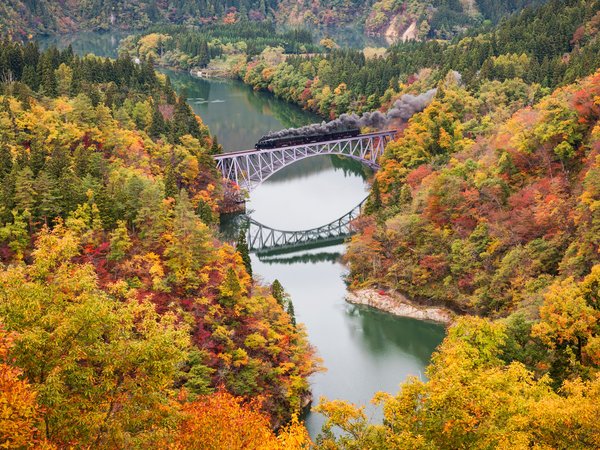 деревья, краски, мост, осень, паровоз, поезд, река