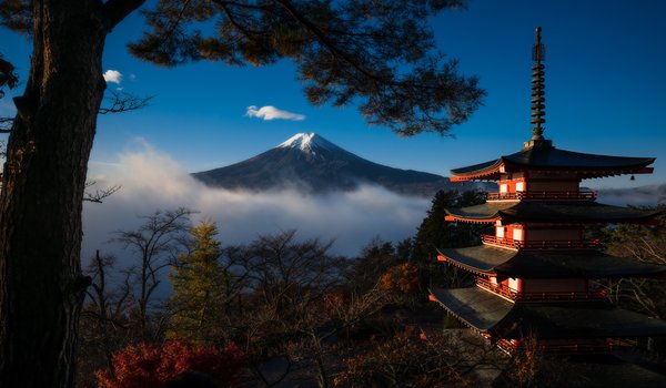 Обои на рабочий стол: Mount Fuji, деревья, пагода, хонсю, япония