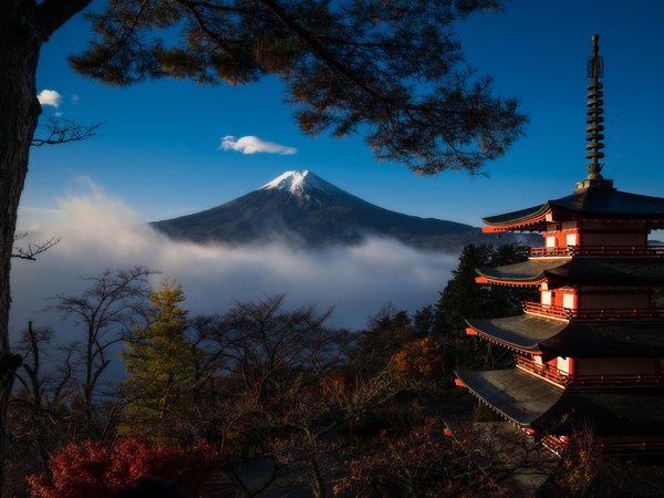 Mount Fuji, деревья, пагода, хонсю, япония