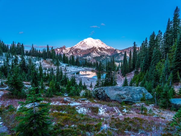 Mount Rainier, горы, ели, сша