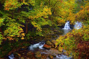 Обои на рабочий стол: autumn, colors, fall, forest, nature, stones, trees, waterfal, водопад, деревья, камни, лес, осень, природа