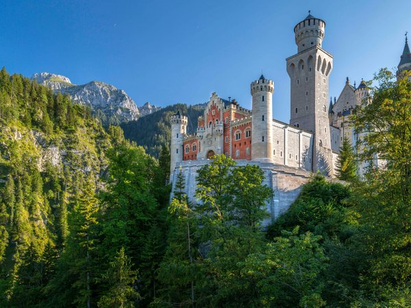 bavaria, Bavarian Alps, germany, Neuschwanstein Castle, Schwangau, бавария, Баварские Альпы, германия, горы, замок, Замок Нойшванштайн, лес, Швангау