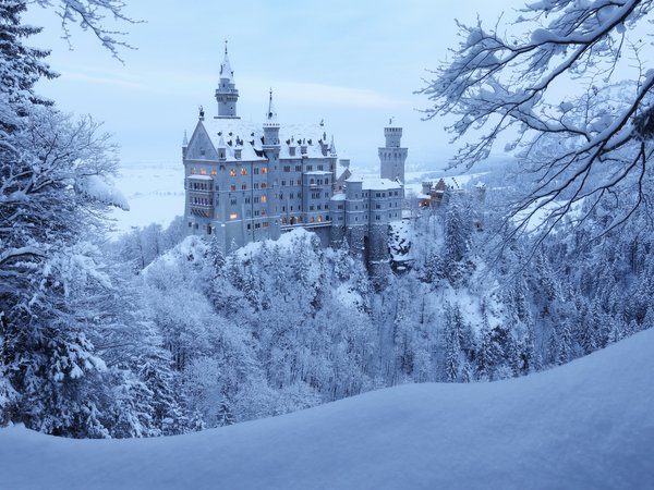bavaria, germany, Neuschwanstein Castle, Schwangau, бавария, германия, деревья, замок, Замок Нойшванштайн, зима, лес, снег, Швангау