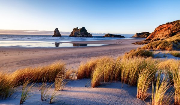 Обои на рабочий стол: beach, cliff, coast, horizon, landscape, nature, New Zealand, plants, rocks, sand, sea, sky