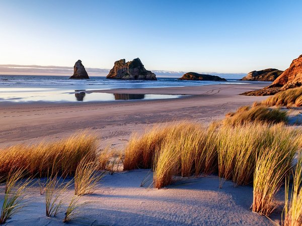 beach, cliff, coast, horizon, landscape, nature, New Zealand, plants, rocks, sand, sea, sky