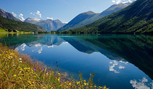 Обои на рабочий стол: Nordfjord, norway, Stryn, горы, залив, норвегия, Нордфьорд, отражение, Стрюн, фьорд, цветы