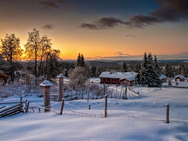 Lillehammer, norway, зима, лес, норвегия, природа