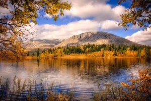 Обои на рабочий стол: ветки, горы, лес, норвегия, озеро, осень