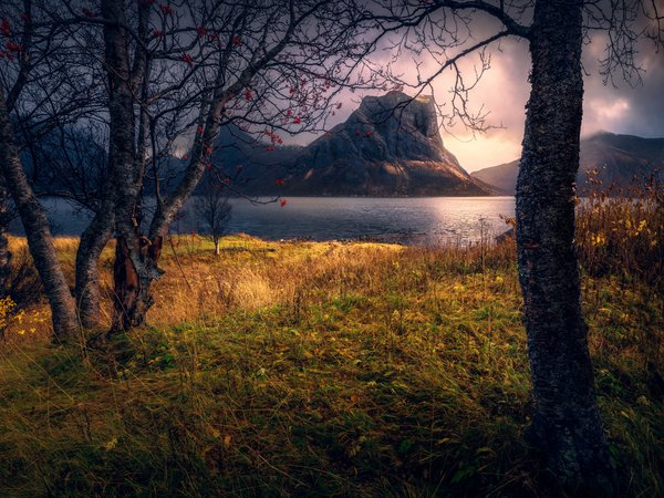 вода, горы, деревья, норвегия, осень, пейзаж, природа, травы, тучи