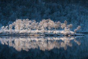 Обои на рабочий стол: Kvæfjord kommune, norway, Storjord, Troms, вода, деревья, иней, Квефьорд, норвегия, отражение, Тромс