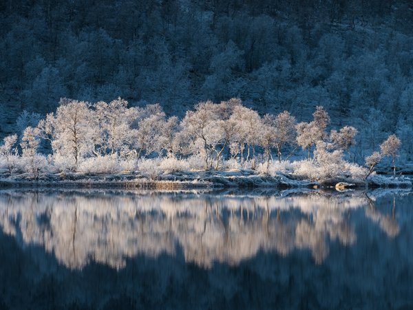 Kvæfjord kommune, norway, Storjord, Troms, вода, деревья, иней, Квефьорд, норвегия, отражение, Тромс
