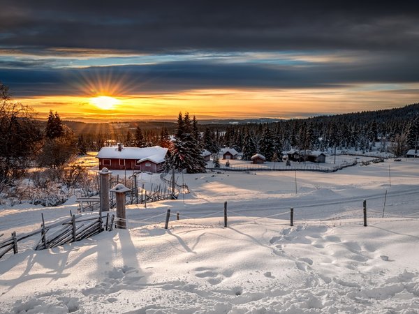 Lillehammer, зима, лес, Лиллехаммер, норвегия