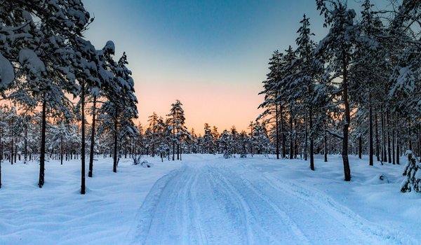 Обои на рабочий стол: деревья, дорога, закат, зима, лес, норвегия, снег