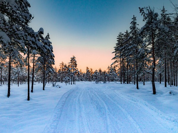 деревья, дорога, закат, зима, лес, норвегия, снег