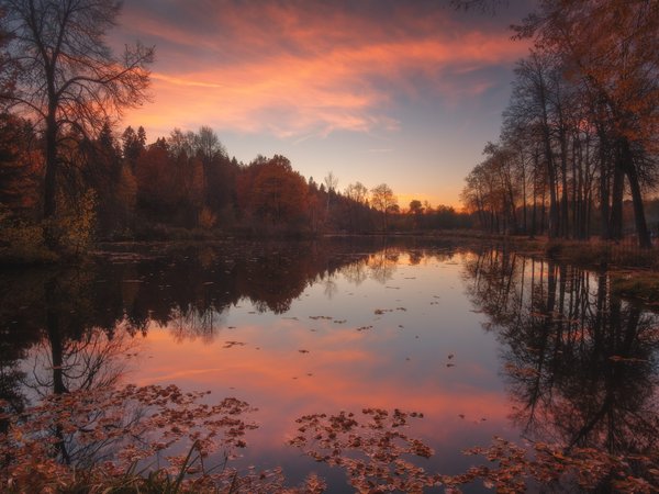закат, лес, Оборотов Алексей, озеро, осень, пейзаж, Подмосковье, природа, пруд